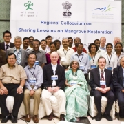 United in best practices of mangrove restoration
