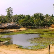 A coastal village in Kendrapara district, Orissa