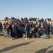 Beach Cleaning