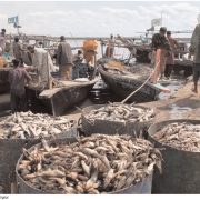 Enroute Food Security