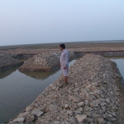 Integrated Shrimp Ponds in the Indus Delta